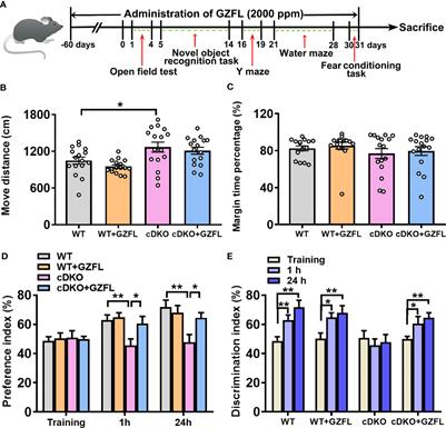 Guizhi Fuling capsule relieves memory deficits by inhibition of microglial neuroinflammation through blocking JAK2/STAT3 pathway in presenilin1/2 conditional double knockout mice